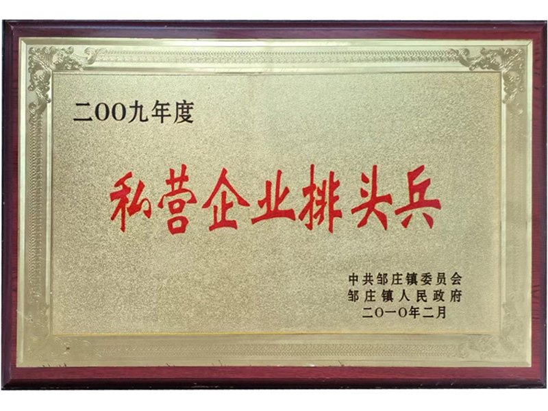 2009年度私營企業排頭兵